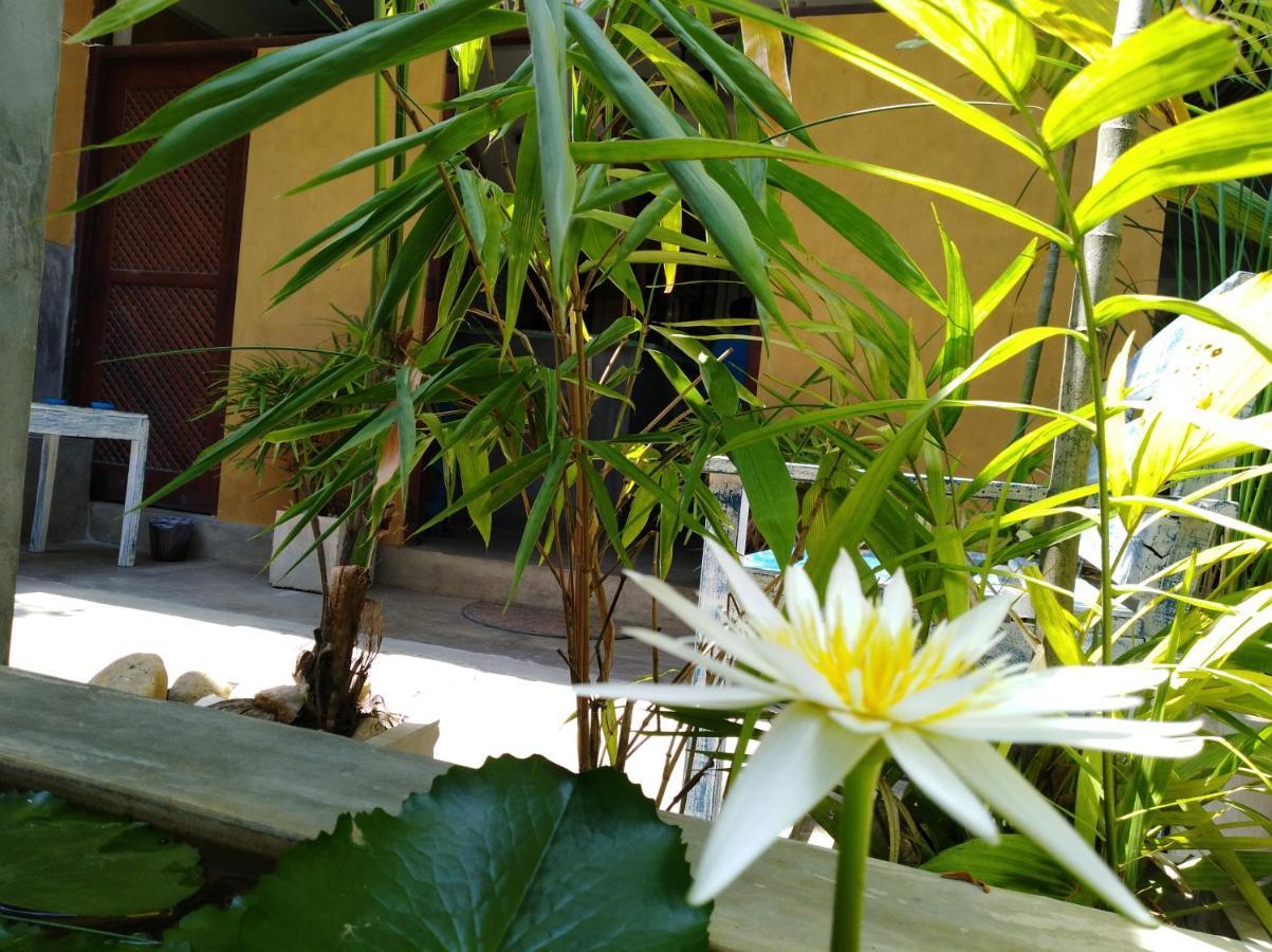 Cycling Backpacker Hostel & Cafe Unawatuna Eksteriør bilde